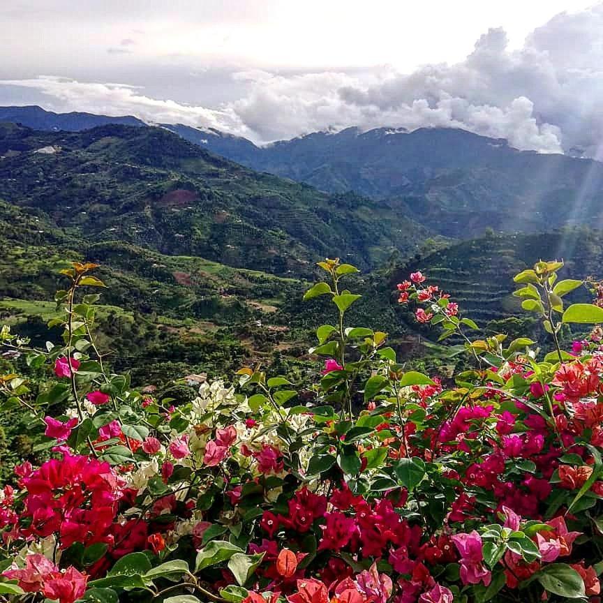 Casa Nativo Villa คาร์ดิน ภายนอก รูปภาพ